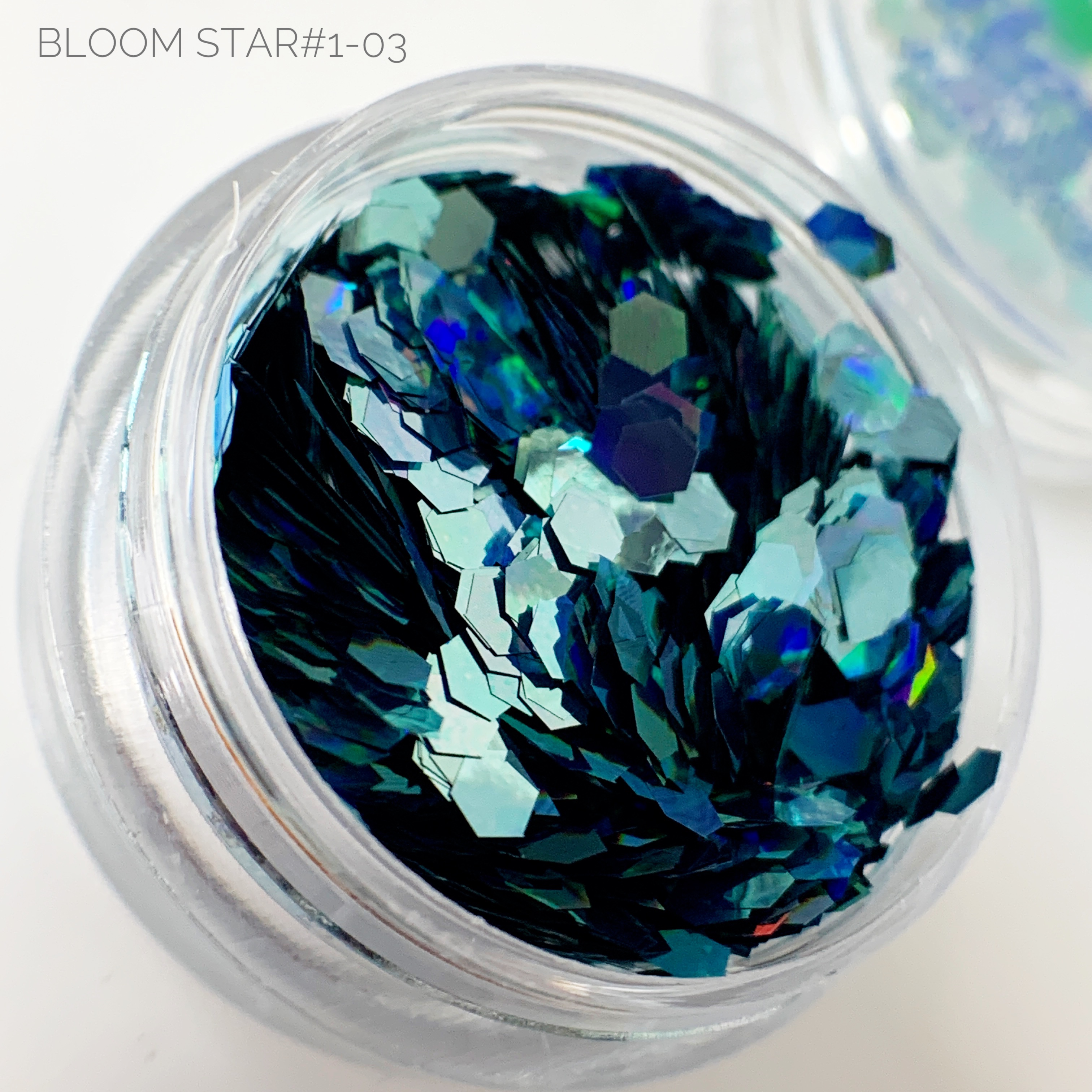 Bloom  Star 1 3